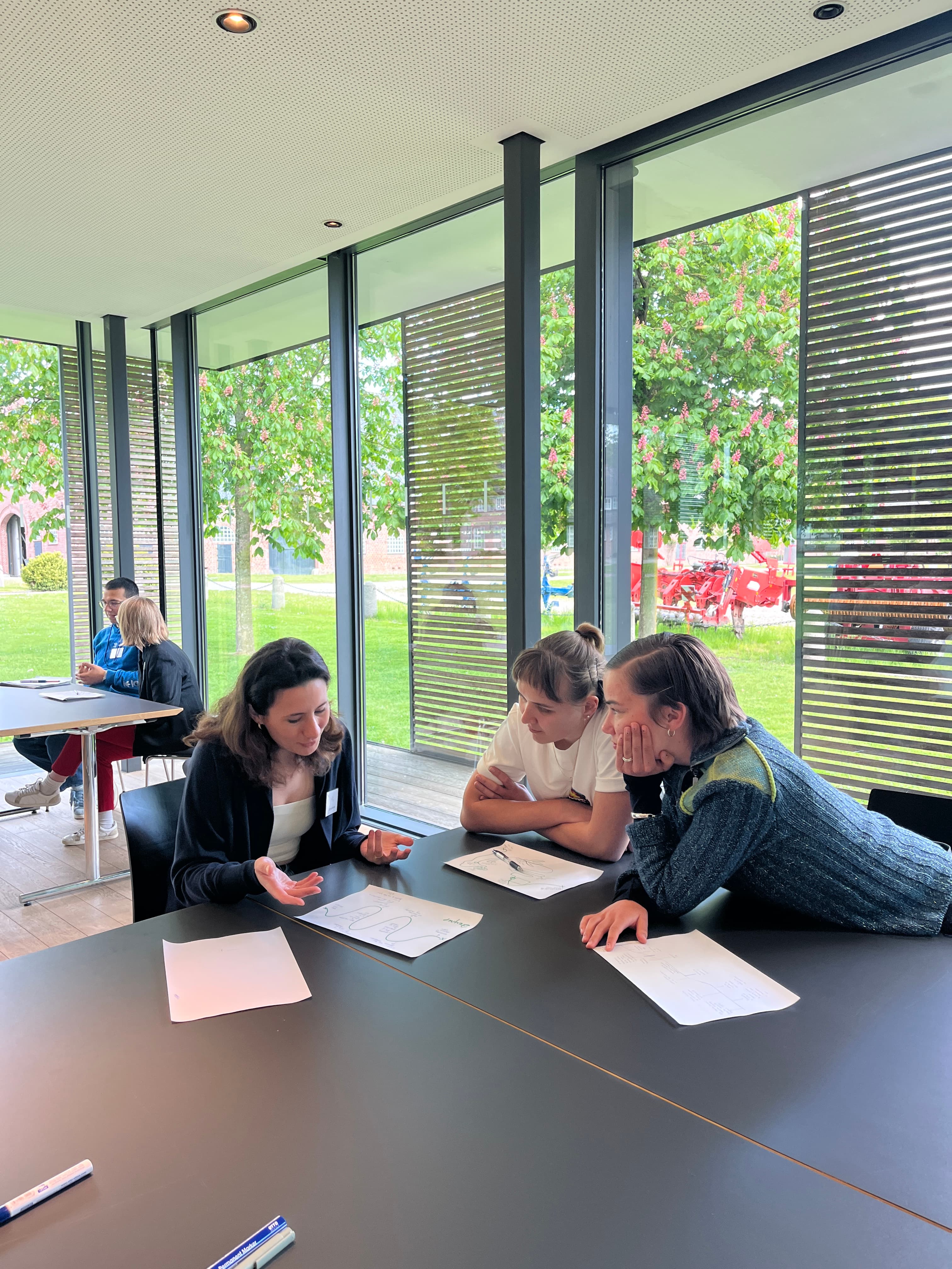 You and Europe Scholarship | Alfred Toepfer Stiftung F.V.S.